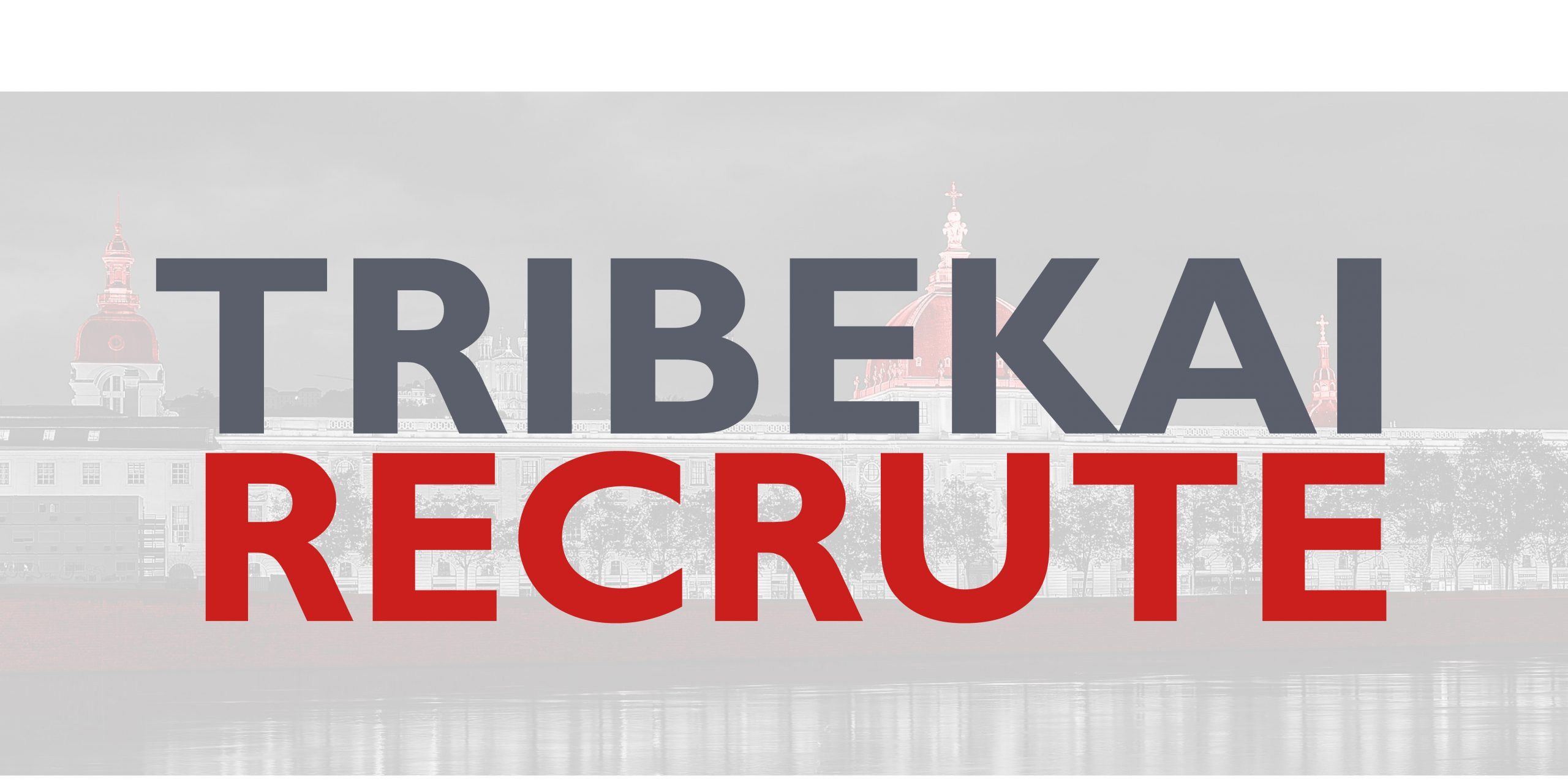 LinkedIn8 Tribekai recrute